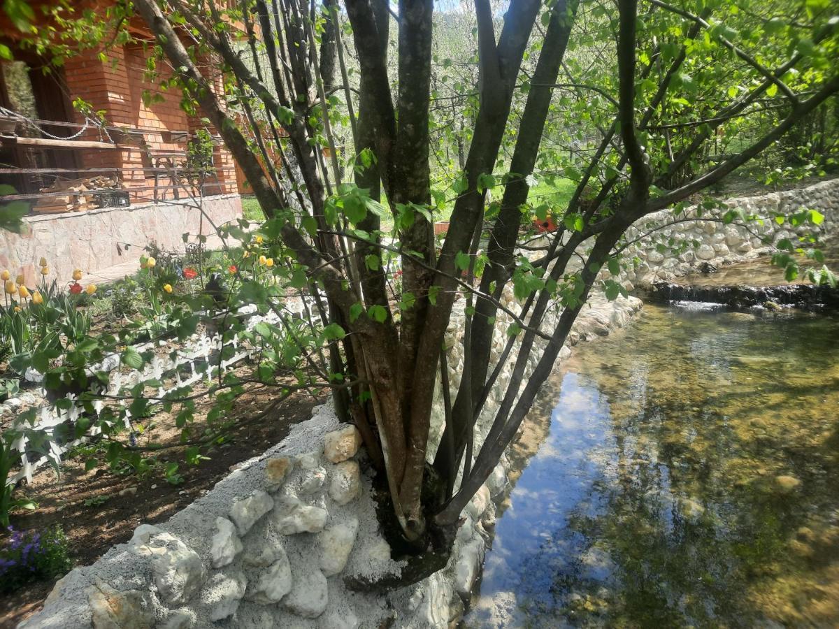 Live Nature Bihać Extérieur photo