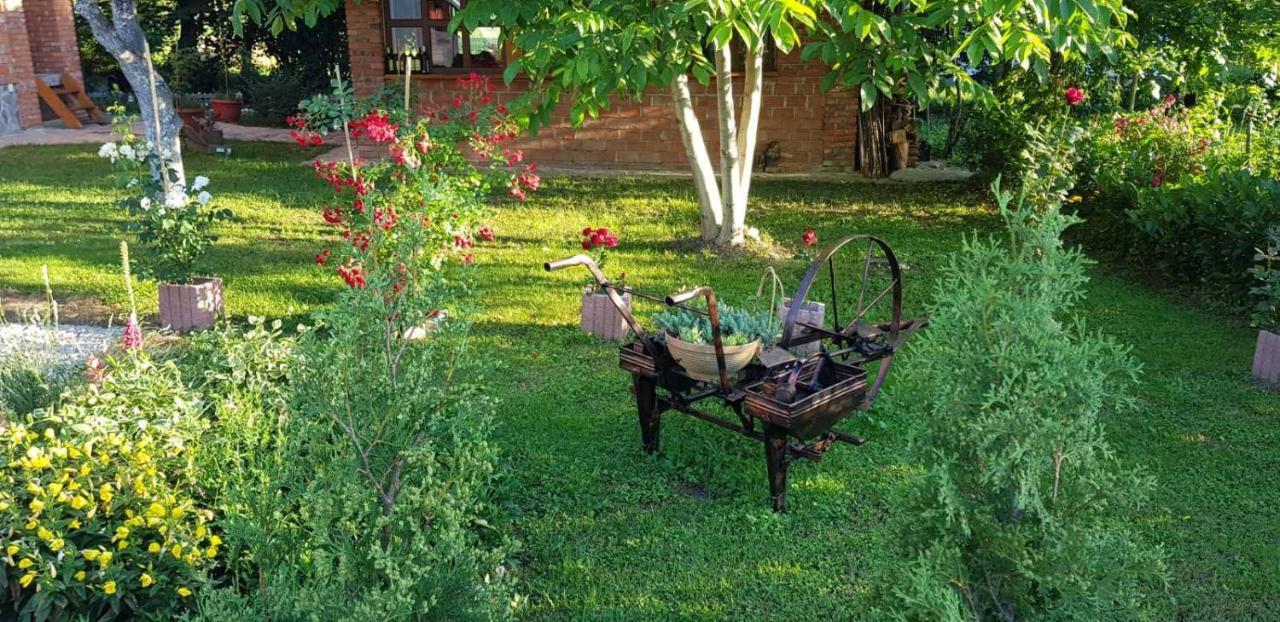 Live Nature Bihać Extérieur photo