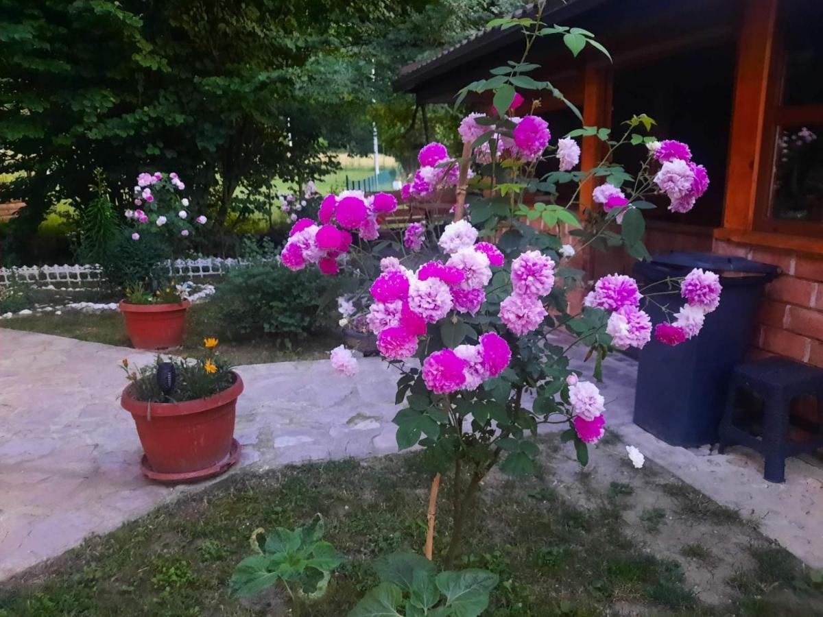 Live Nature Bihać Extérieur photo